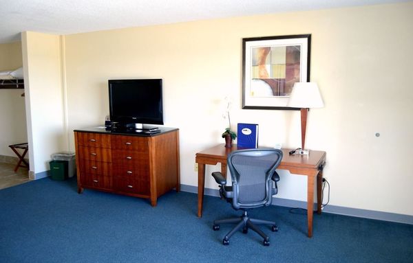 Ocean Front King Photo 2